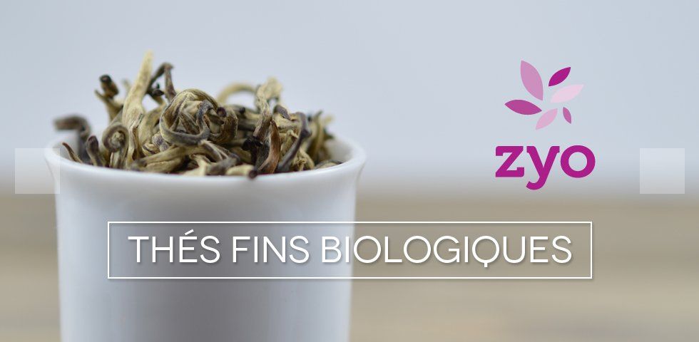 Photo : Zyo Tea