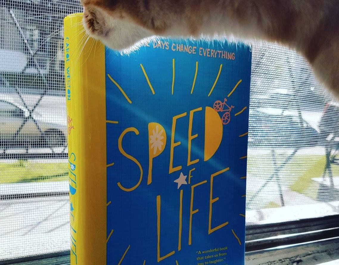 Image: 61bc96e74c6a557cbfd86917_larouquine-speed-of-life-par-carol-weston-01.jpeg