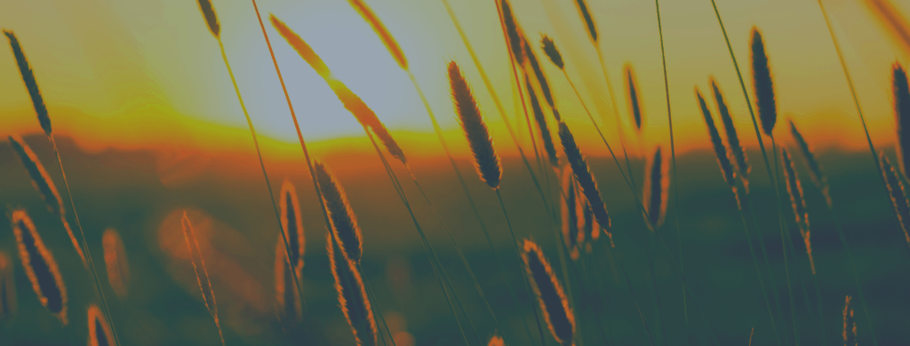 Calendrier dates importantes : édition Québec/Canada août