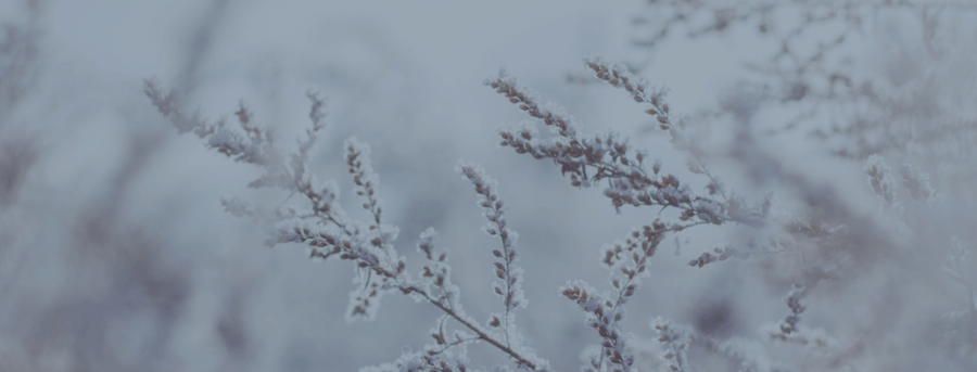 Calendrier dates importantes et thématiques : édition Québec et Canada