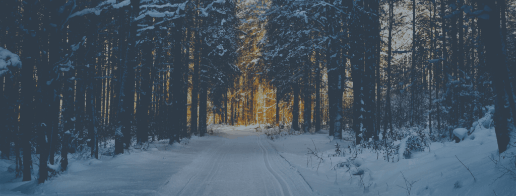 Calendrier dates importantes : édition Québec/Canada - décembre