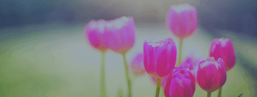 Calendrier dates importantes : édition Québec/Canada mai