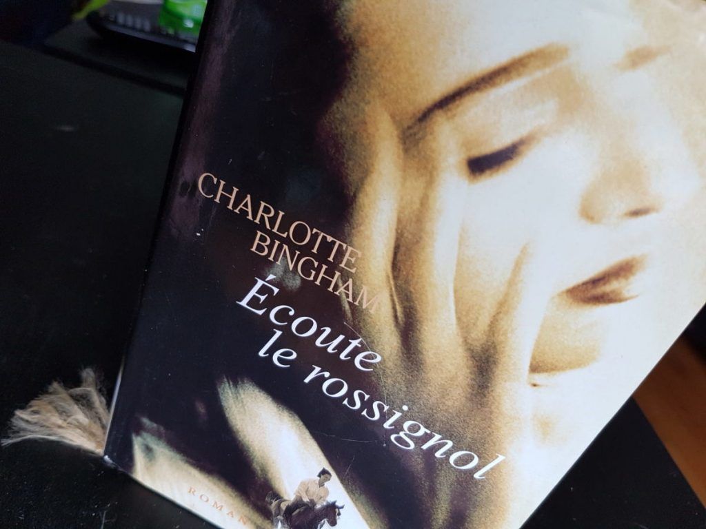 Image: 61bc96ae81bbe06e2d645b3b_larouquine-le-probleme-de-la-litterature-jeunesse-03-e1495986764311-1024x768-1.jpeg